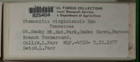 Image Associated With the Occurence